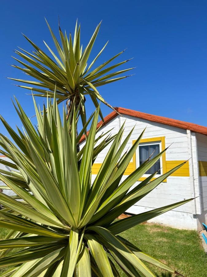 La Pinza Bl Am Lejlighed El Palmar  Eksteriør billede